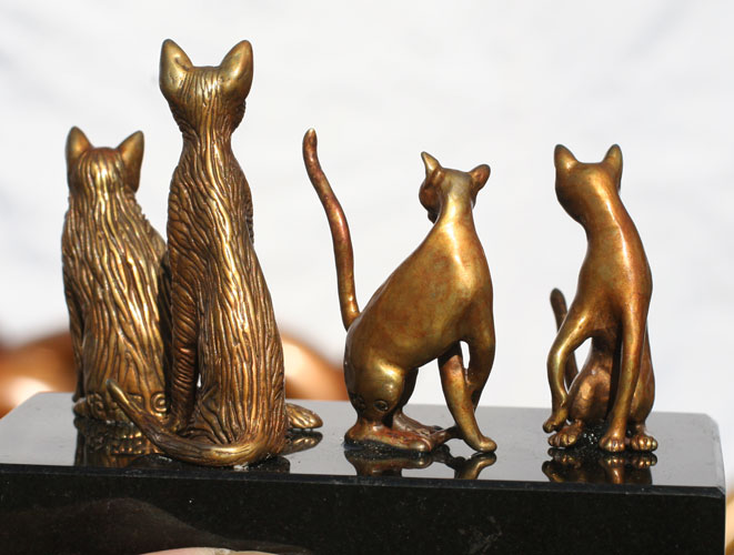 Cats the backs