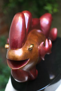 flame fish front view